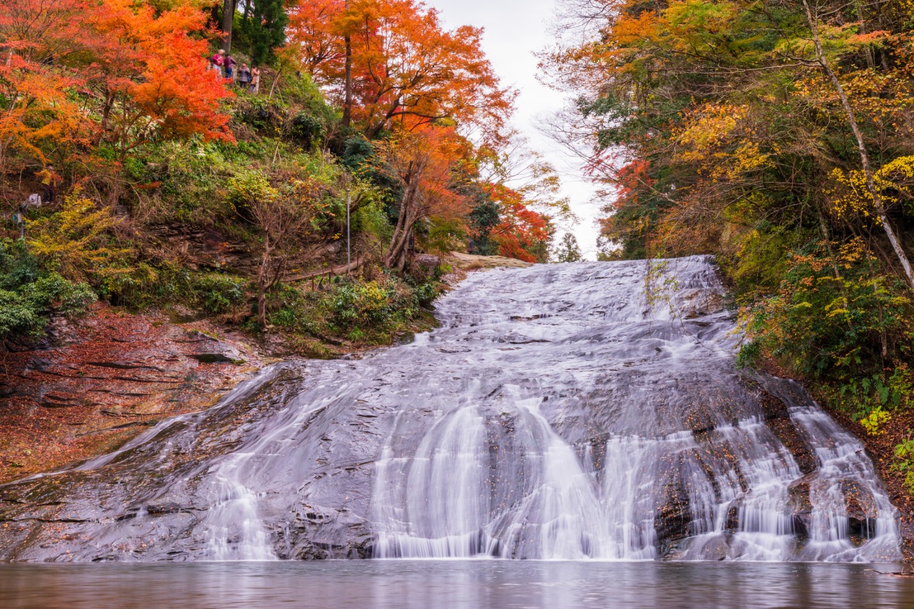 紅葉の養老渓谷、粟又の滝と海の幸